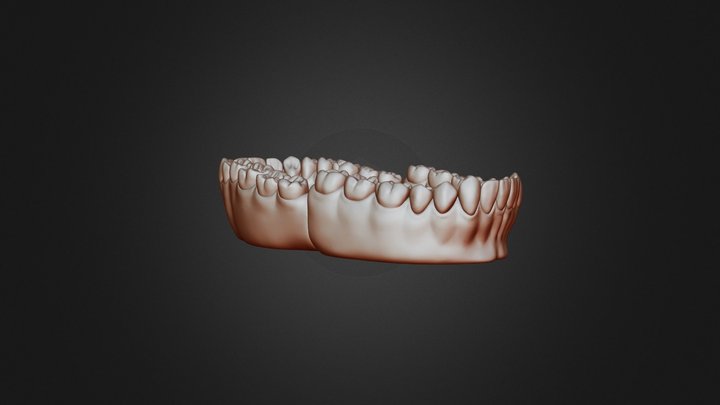 Teeth Test 3D Model