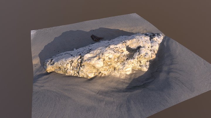Beach Rock – Free 3D Model STL