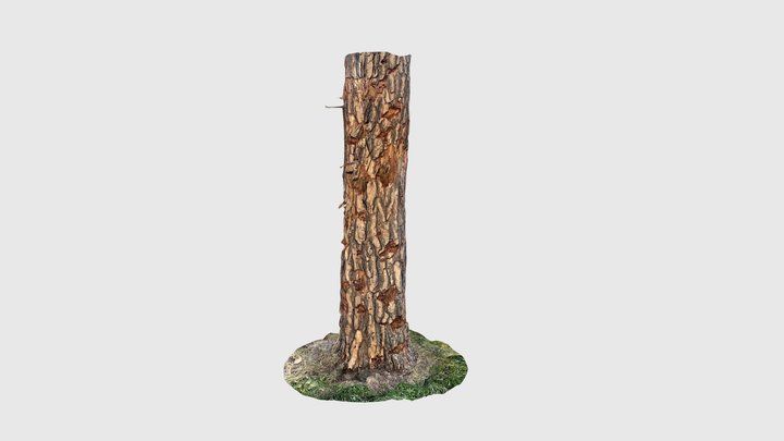 Shelled tree trunk 02 – Gratis 3D-model STL