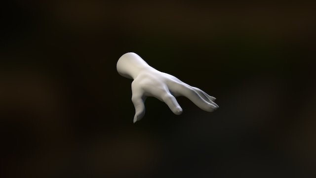 Feminine Hand 3D Model