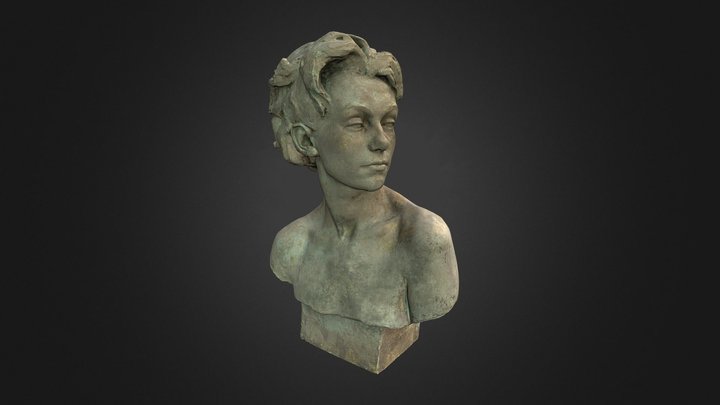 Model of sculpture 'A student's head' 3D Model