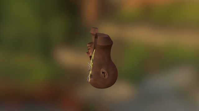 coronal test animaiton 3D Model