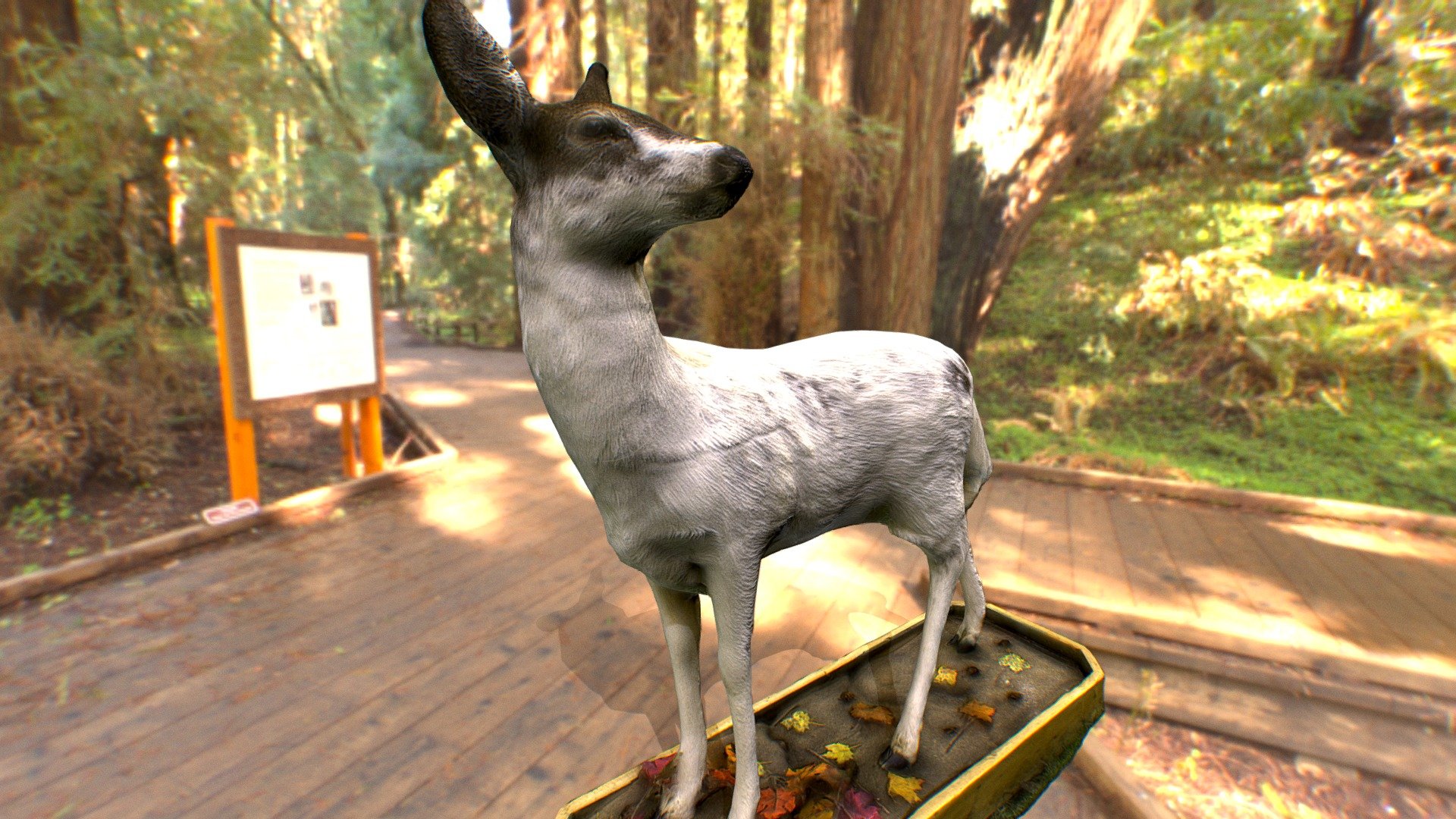 Albinos Deer Trophy
