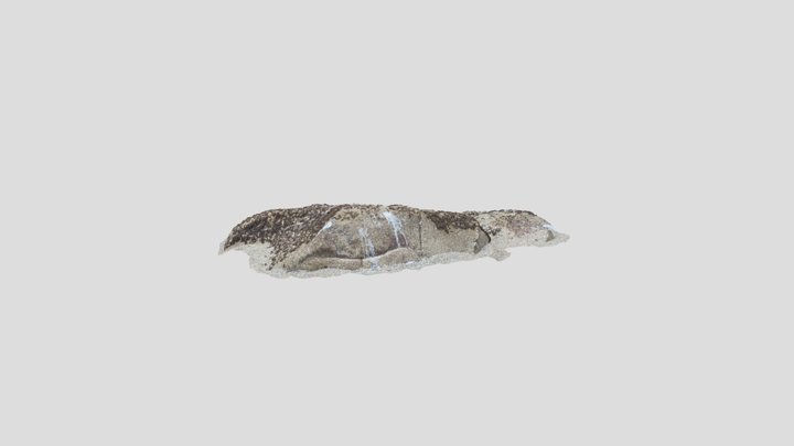 Beach Rock 4 5/26