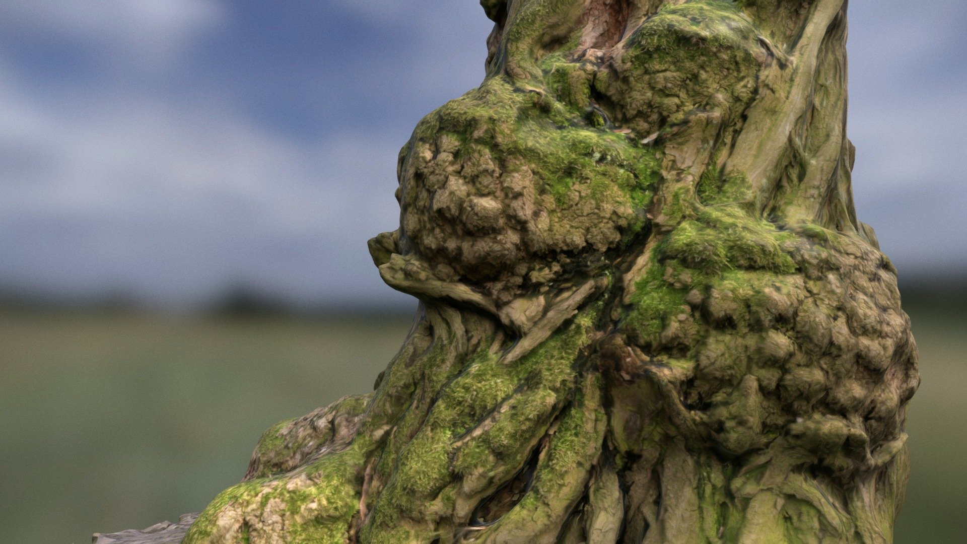 trunk_01