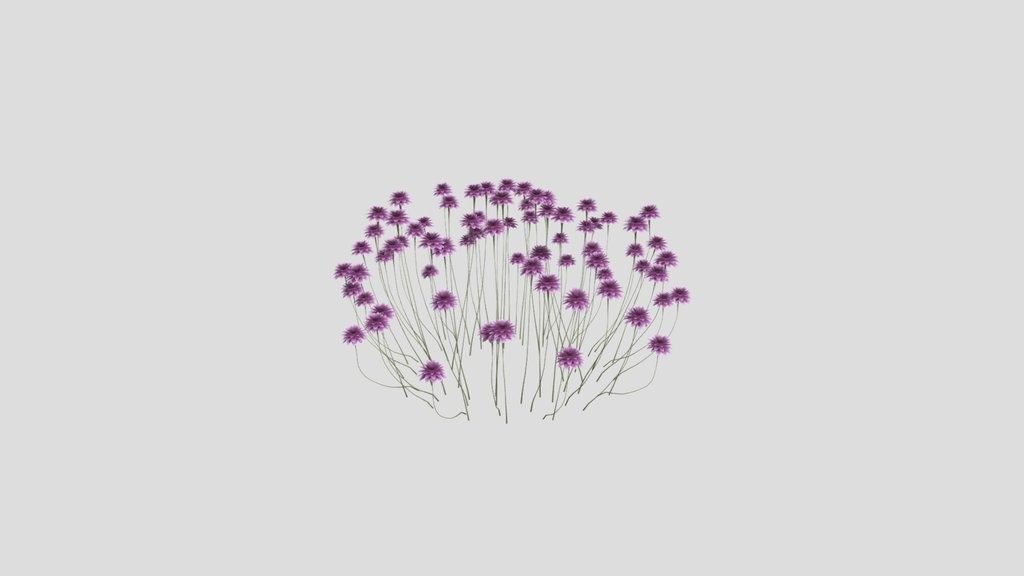 Sj Pure Elegance Shrub