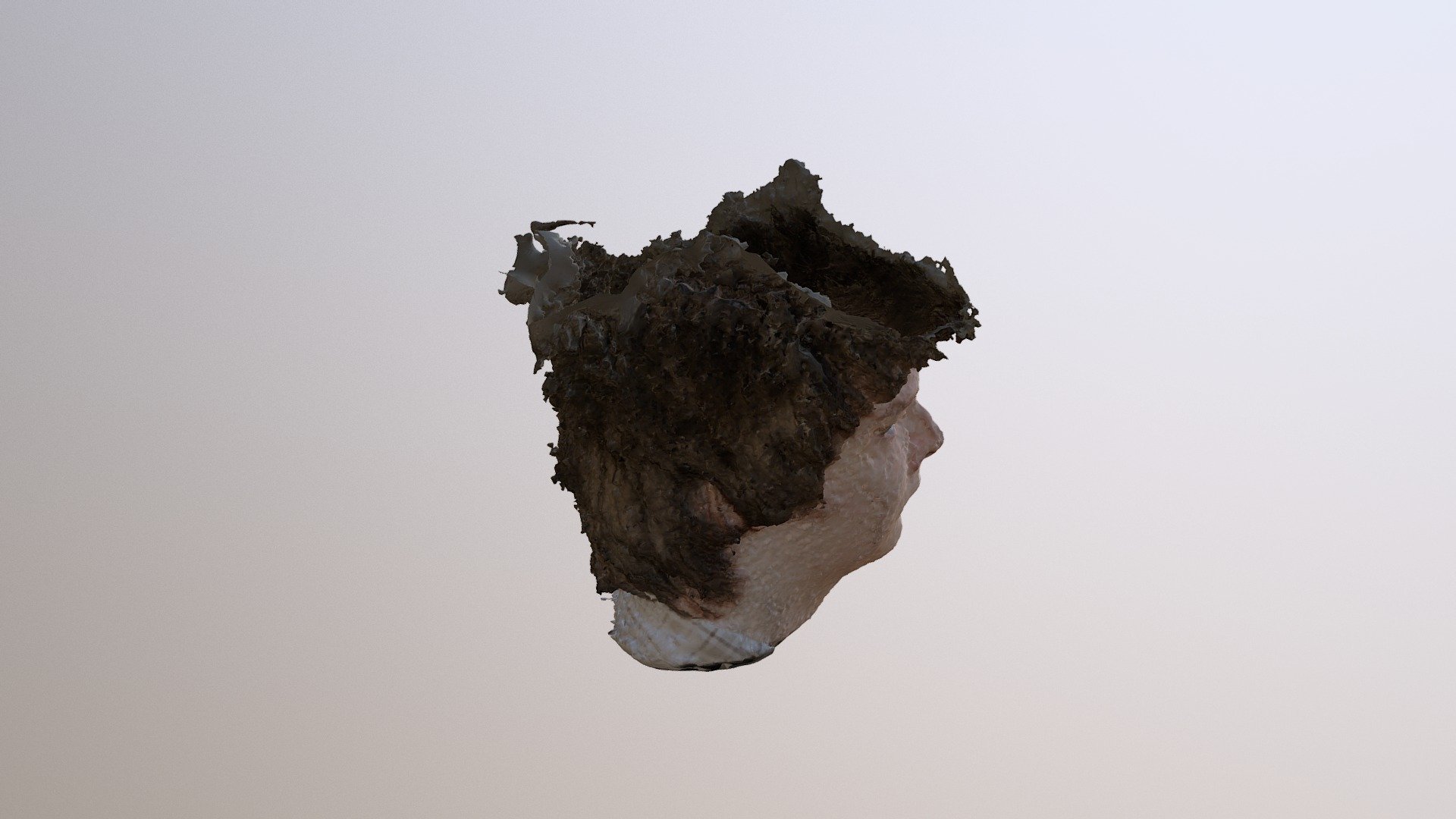 Head Scan