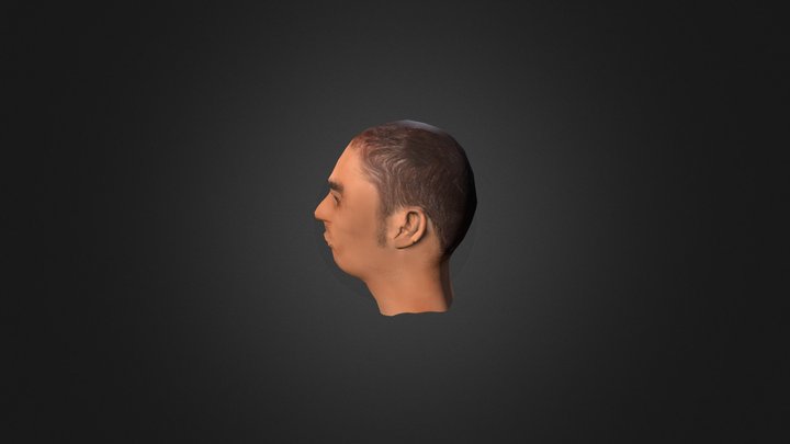 Human Head Complete 3D Model