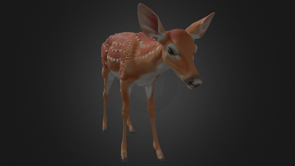 Slim Deer Standing Realistic