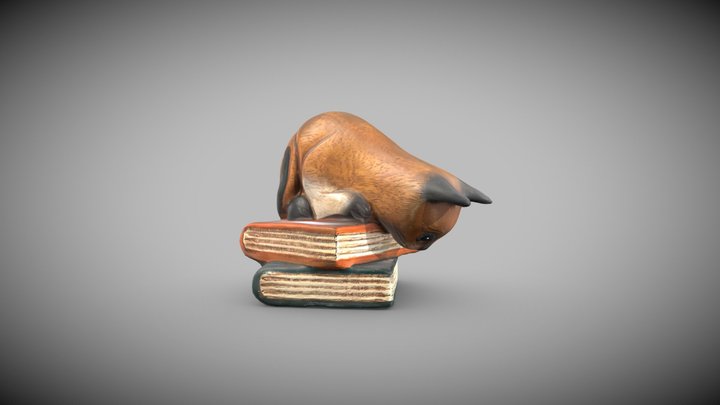 Cat on Books Statue 3D Scan 3D Model