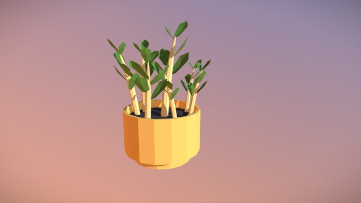ZZ Plant 3D Model