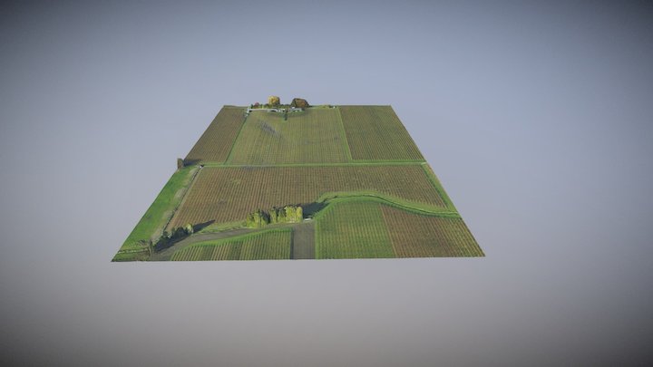 Marlborough Vineyard 3D Model