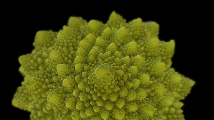 Fractal Romanesco Top 3D Model