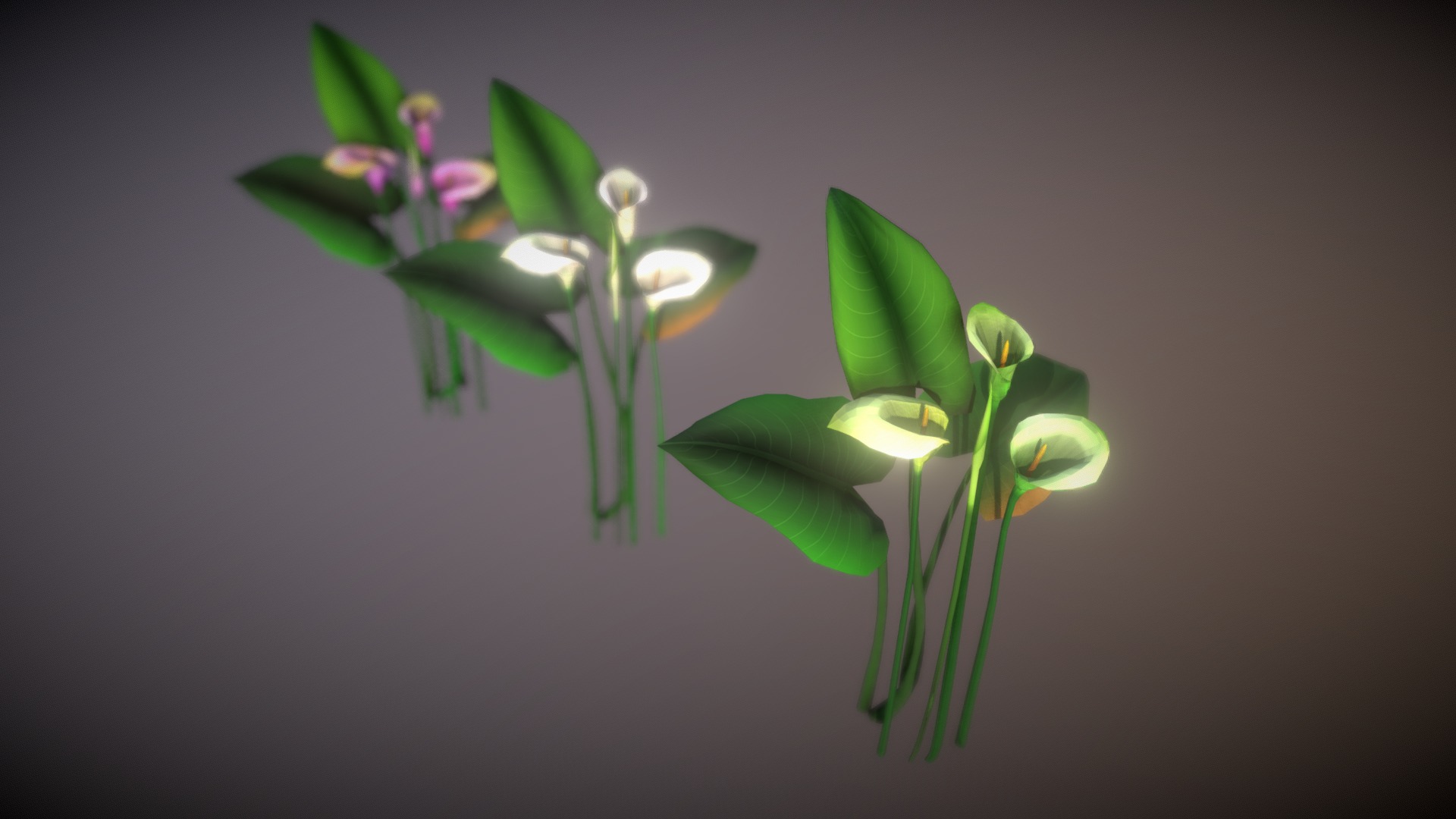 3D model Lily Flower 2018 - This is a 3D model of the Lily Flower 2018. The 3D model is about a plant with flowers.