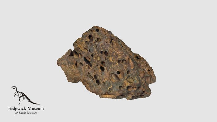 EduR23 Vesicular Basalt 3D Model