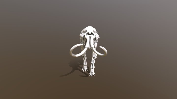 Mammuthus trogontherii / İskelet Sistemi 3D Model