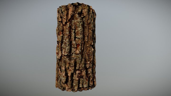 Maple Tree Bark Photoscan 3D Model
