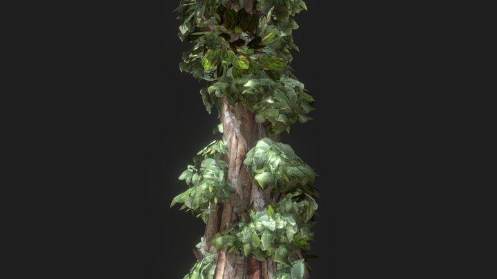 Ivy Old Trunk 3D Model