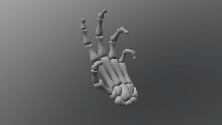 Skeleton Hand 3D Model