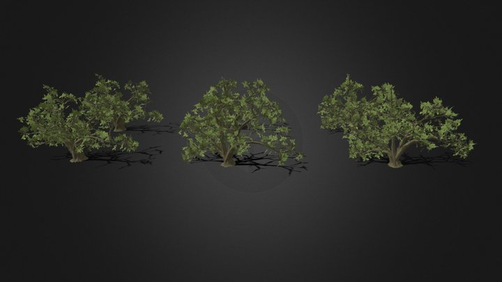 Oak Tree Variations With Low Poly Variants