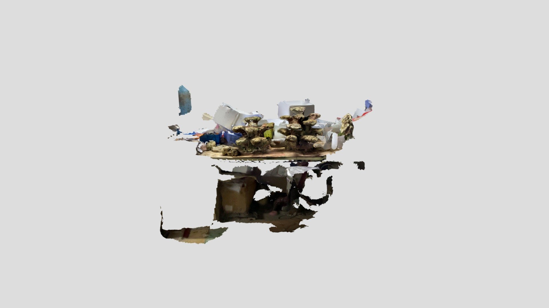 Untitled Scan