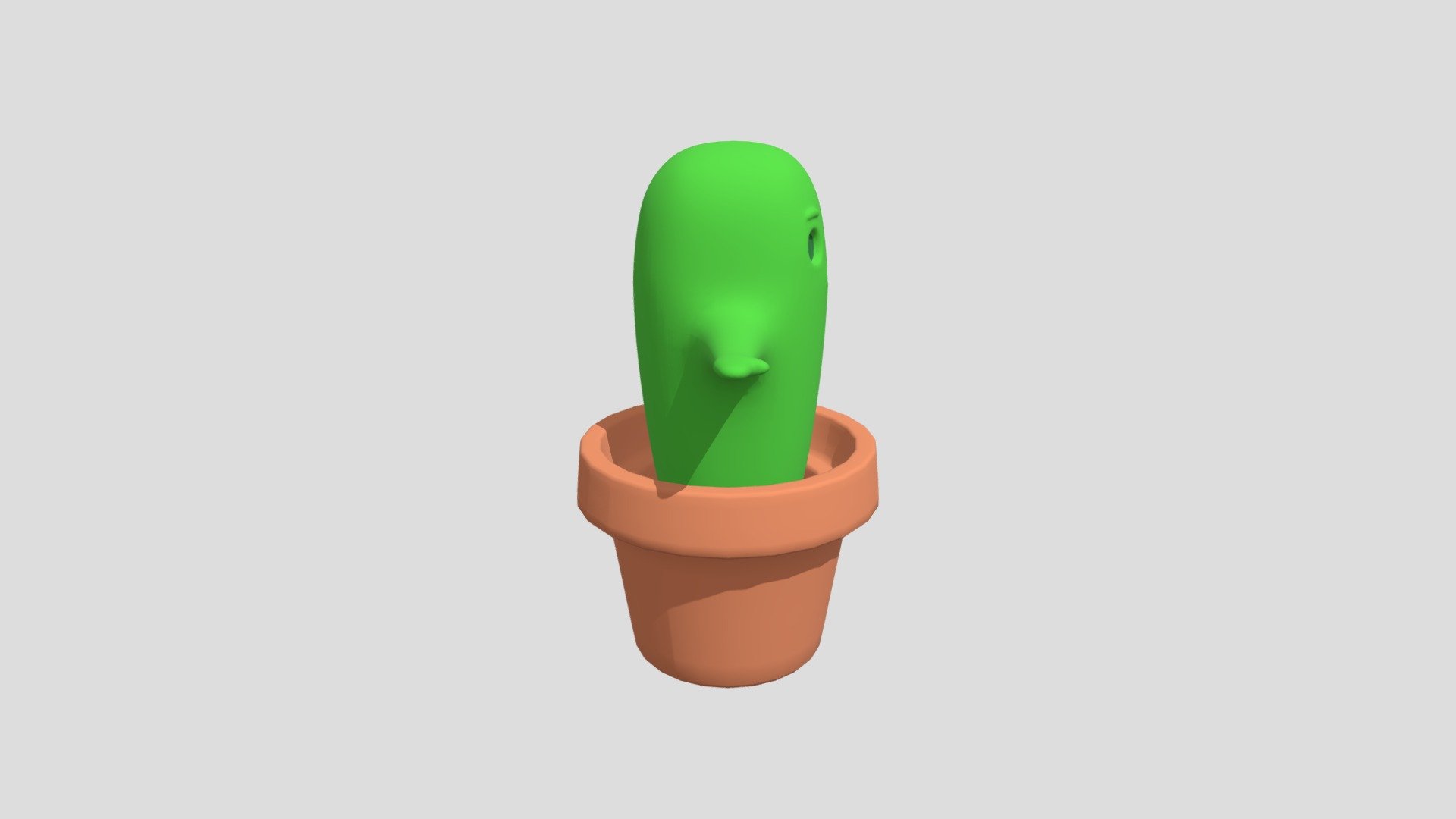Cactus - Laura Molina