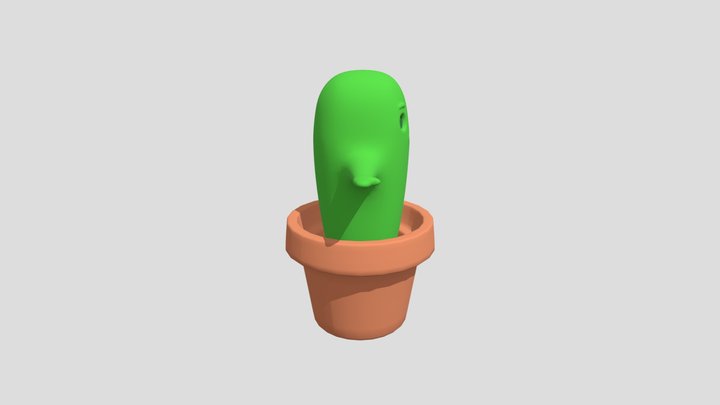 Cactus - Laura Molina 3D Model