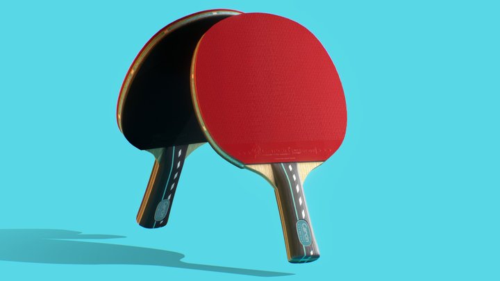 Carcin table tennis paddle 3D Model