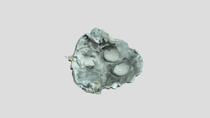 Apollo Belvedere (fig leaf) 3D Model