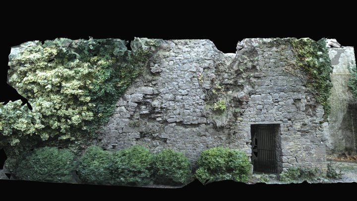 Killeigh Friary Chapter House North Wall 3D Model