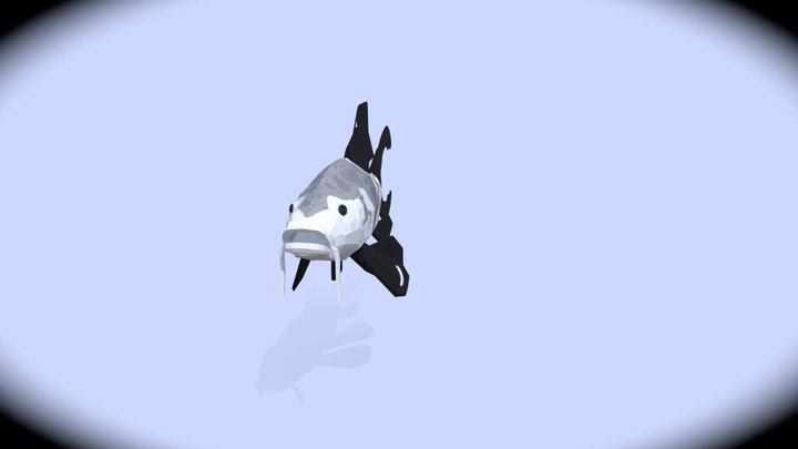 Koi 3D Model