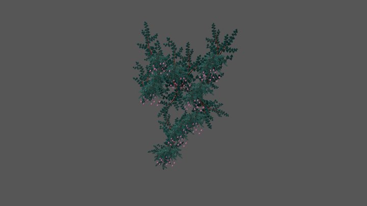 Court Room Vines 3D Model