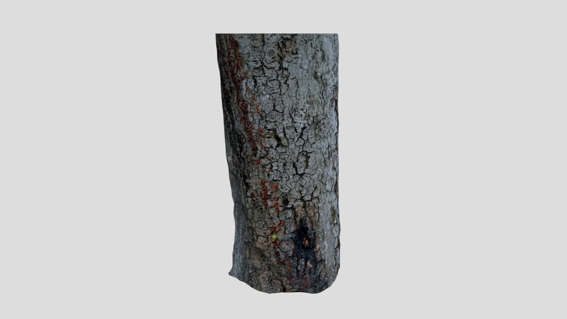 Dendroken