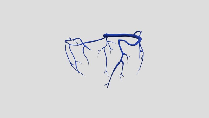 Venas 3D Model