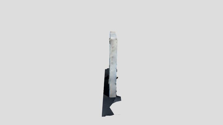 Dolphin 3D Model