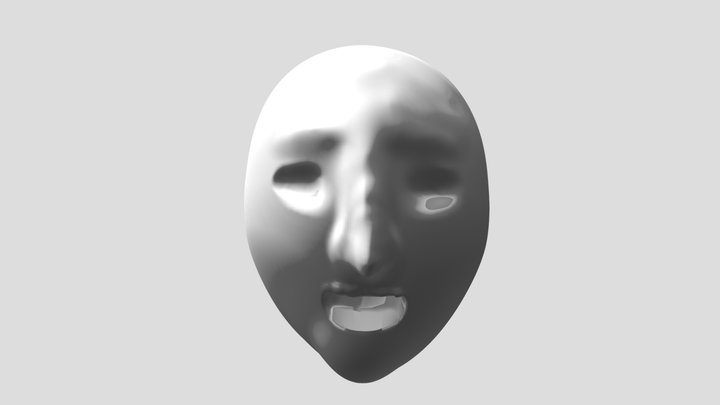 Face 3D Model