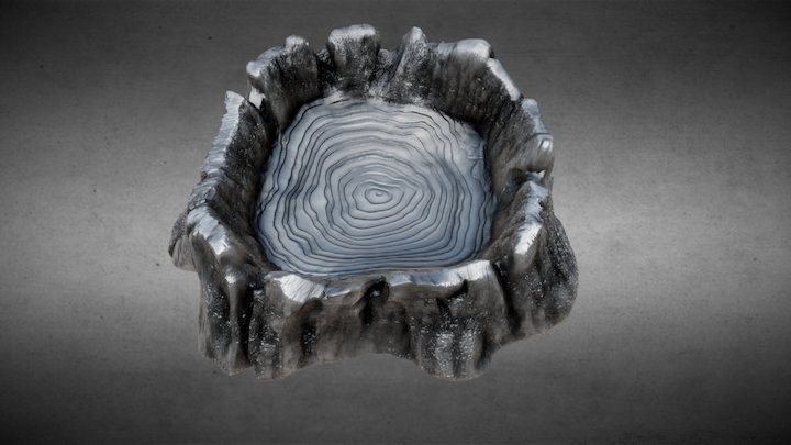 Tree trunk bowl. 3D Model