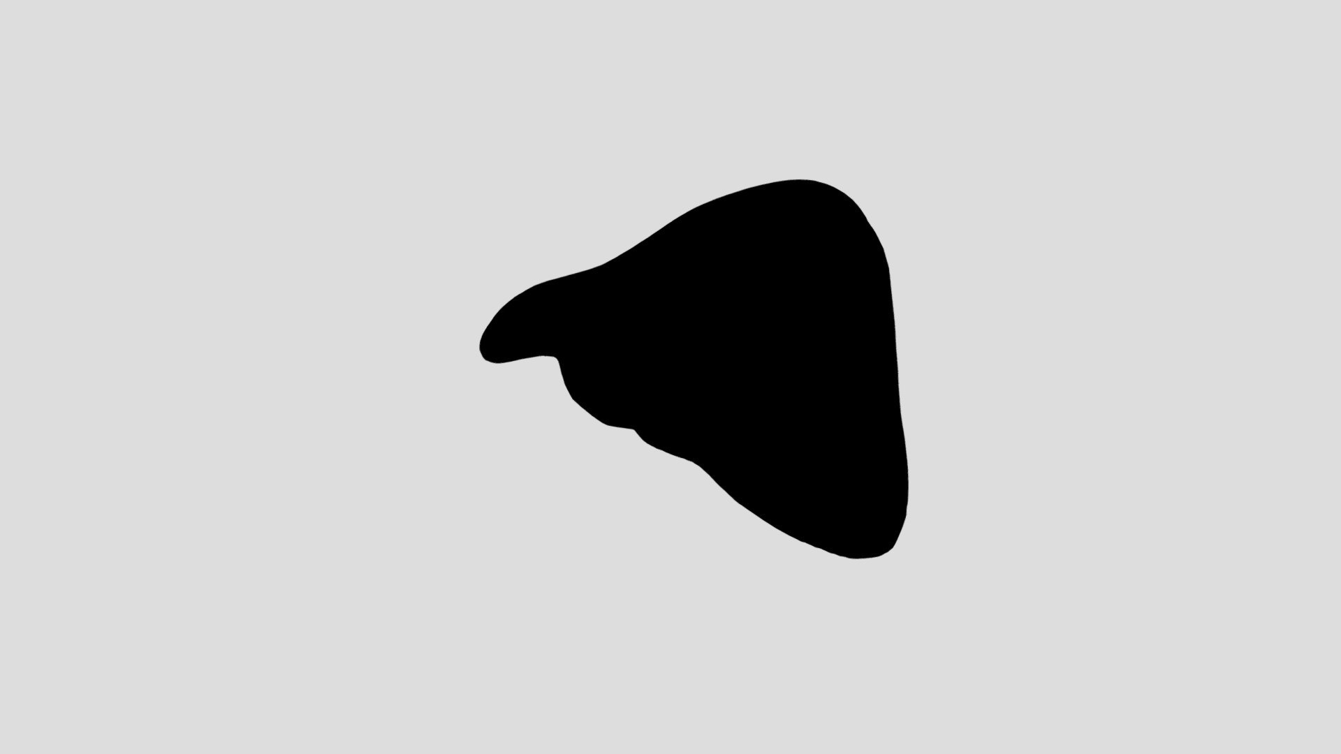 organ hati