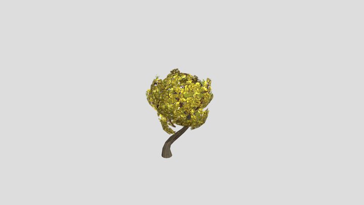 Low Poly Small Tree 3D Model