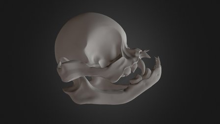 Pug Skull 3D Model