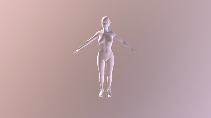 Standard-female-figure-obj 3D Model