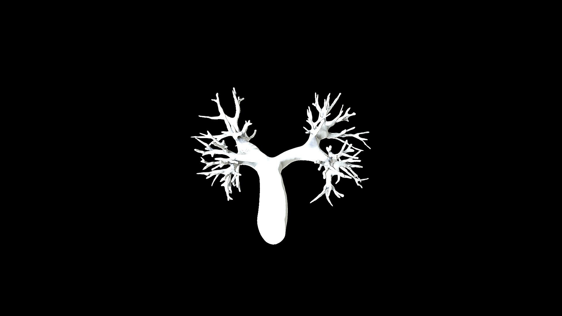 Vhu001 Mesh001 Bronchial V002
