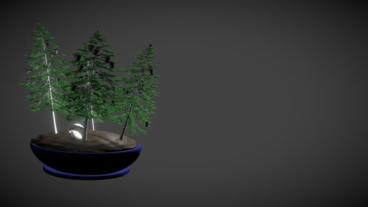 Bonsai Scene 3D Model