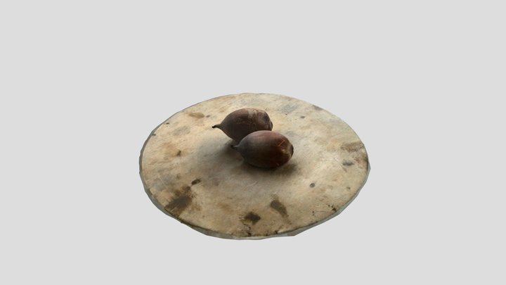 Babassu Nut/Noz de Baba çu 3D Model