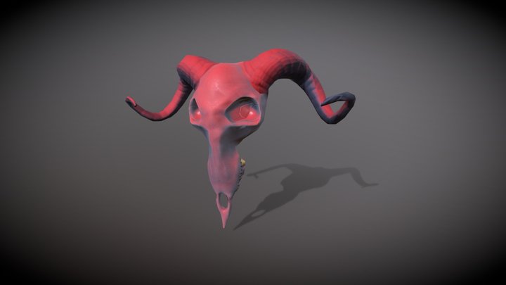Skull Texturing HEAJ Demo 3D Model