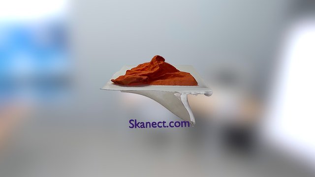 Tissue 3D Model