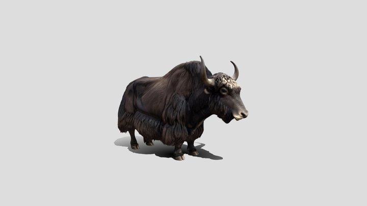 Midnight Yak 3D Model Free – Modèle 3D gratuit STL