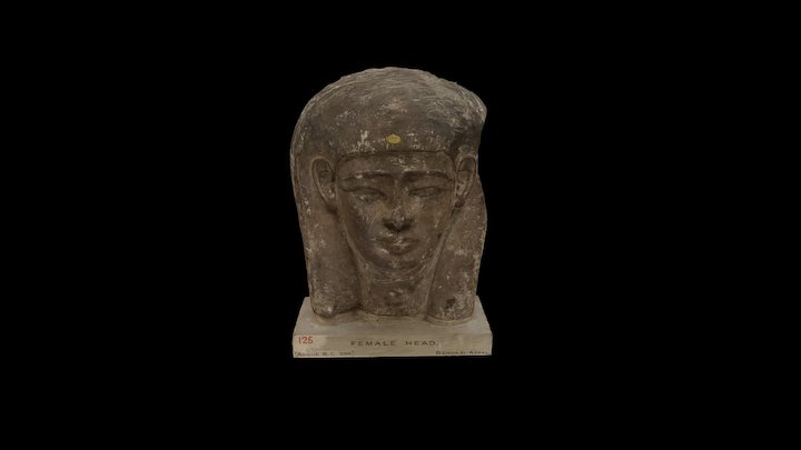 Egyptian female head 3D Model
