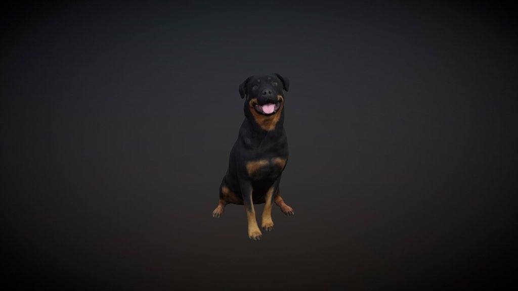 Rottwailer - 3D model by Garma_Z [a4f31fc] - Sketchfab