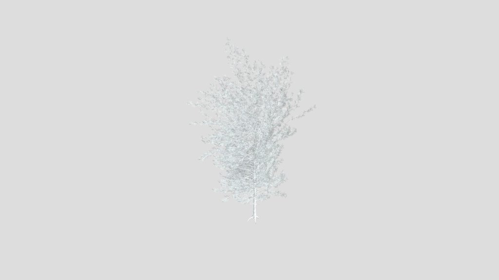 Sj Perfect Pine Tree